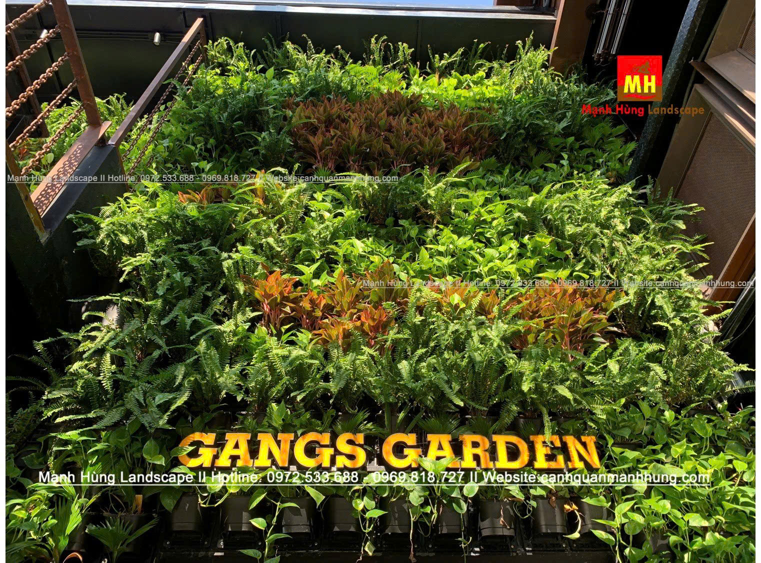 TƯỜNG CÂY XANH LÀ GÌ? CÔNG DỤNG VÀ LỢI ÍCH KHÔNG THỂ BỎ QUA